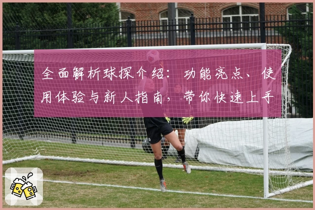 全面解析球探介绍：功能亮点、使用体验与新人指南，带你快速上手