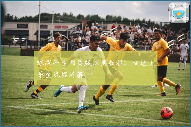 球探平台网页版注册教程：快速上手全流程详解