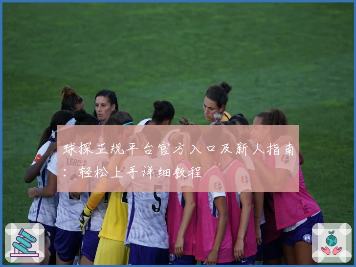 球探正规平台官方入口及新人指南：轻松上手详细教程