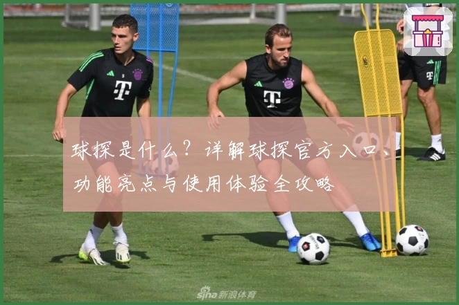 球探是什么？详解球探官方入口、功能亮点与使用体验全攻略