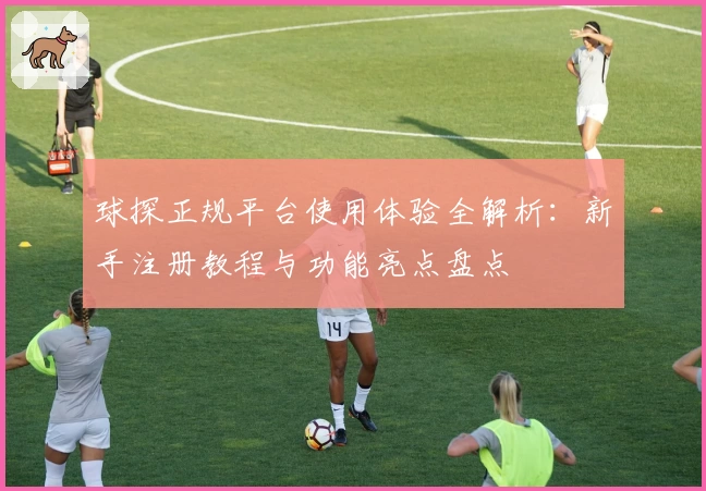 球探正规平台使用体验全解析：新手注册教程与功能亮点盘点